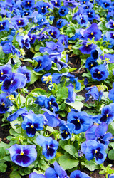 Similar image 1890341