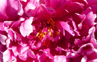 Similar image 1890342