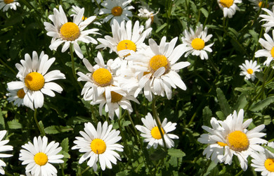 Similar image 1890343