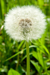 Similar image 1890344