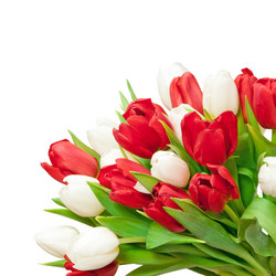 Similar image 1890372