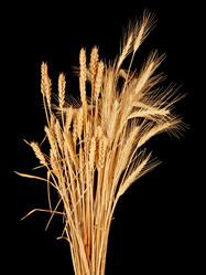 Similar image 1890376