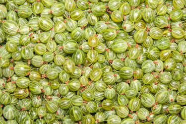 Similar image 1890381