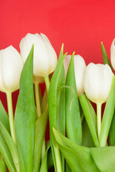 Similar image 1890383