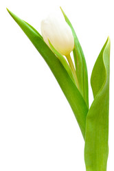 Similar image 1890389