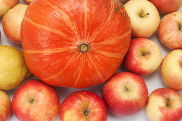 Similar image 1890413