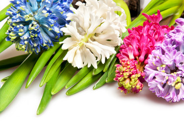 Similar image 1890416