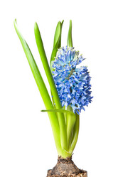 Similar image 1890420