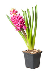 Similar image 1890422