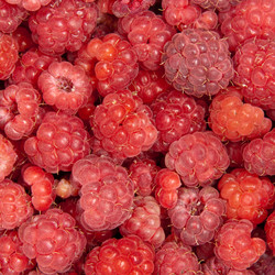 Similar image 1890425