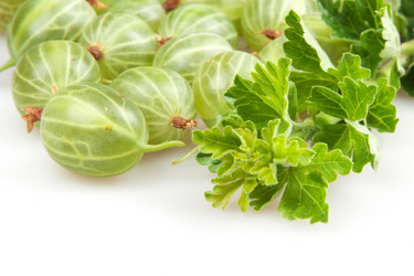 Similar image 1890427