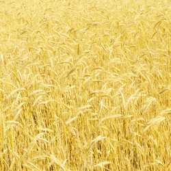 Similar image 1890428