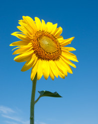 Similar image 1890429