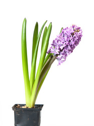 Similar image 1890432