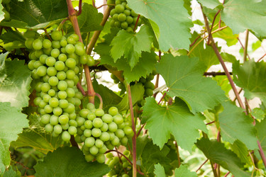 Similar image 1890436