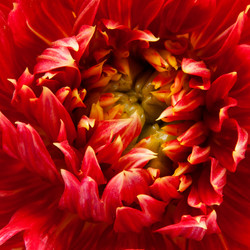 Similar image 1890438