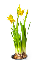 Similar image 1890439