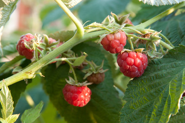 Similar image 1890479