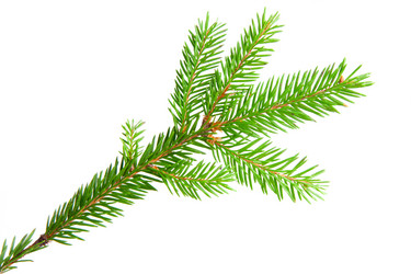 Similar image 1890481