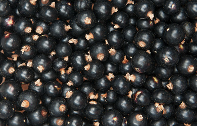 Similar image 1890484