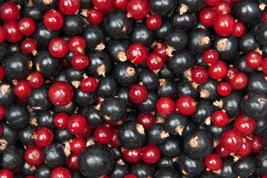 Similar image 1890485