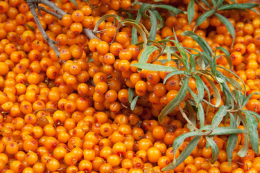 Similar image 1890550