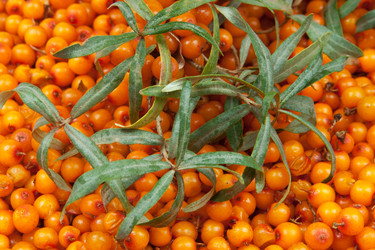 Similar image 1890551