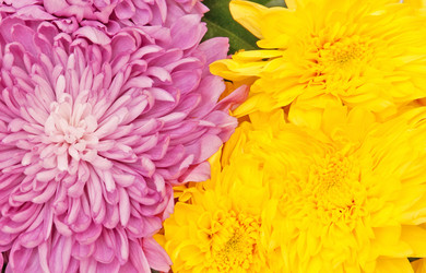 Similar image 1890554