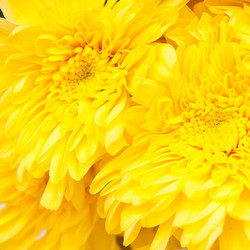 Similar image 1890555