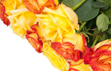 Similar image 1890556