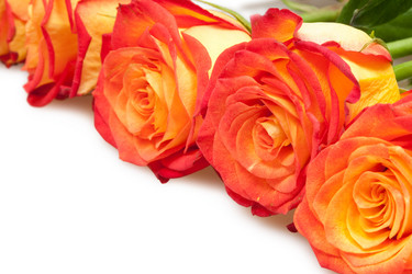 Similar image 1890558