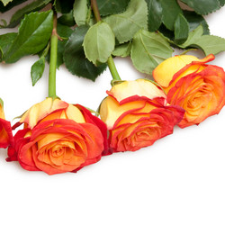 Similar image 1890559