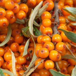 Similar image 1890560