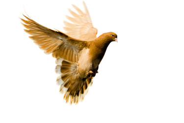 Similar image 1897636