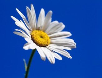 Similar image 1898176