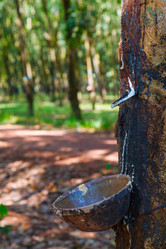 Similar image 1898676