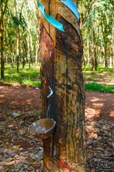 Similar image 1898683