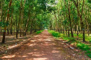 Similar image 1898687