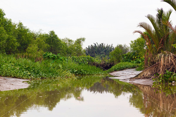 Фотография на тему Желтая река в джунглях Вьетнама | PressFoto