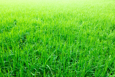 Similar image 1898699