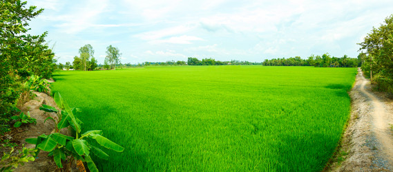 Similar image 1898703