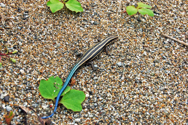 Similar image 1899196