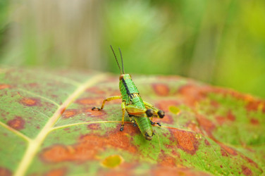 Similar image 1899209