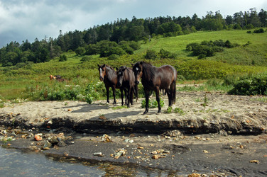 Similar image 1899294