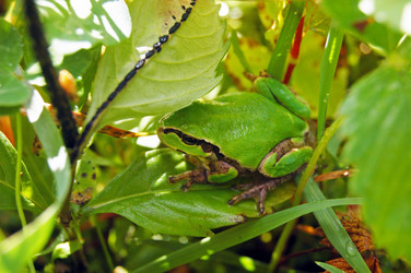 Similar image 1899296