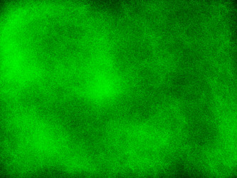 Similar image 1901689