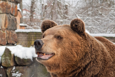 Similar image 1902141