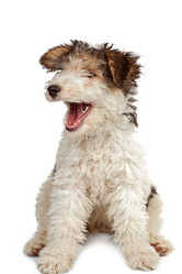 Similar image 1902147