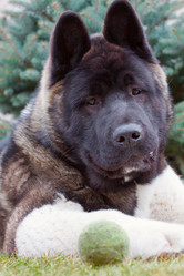 Similar image 1902155