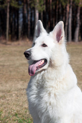 Similar image 1902166